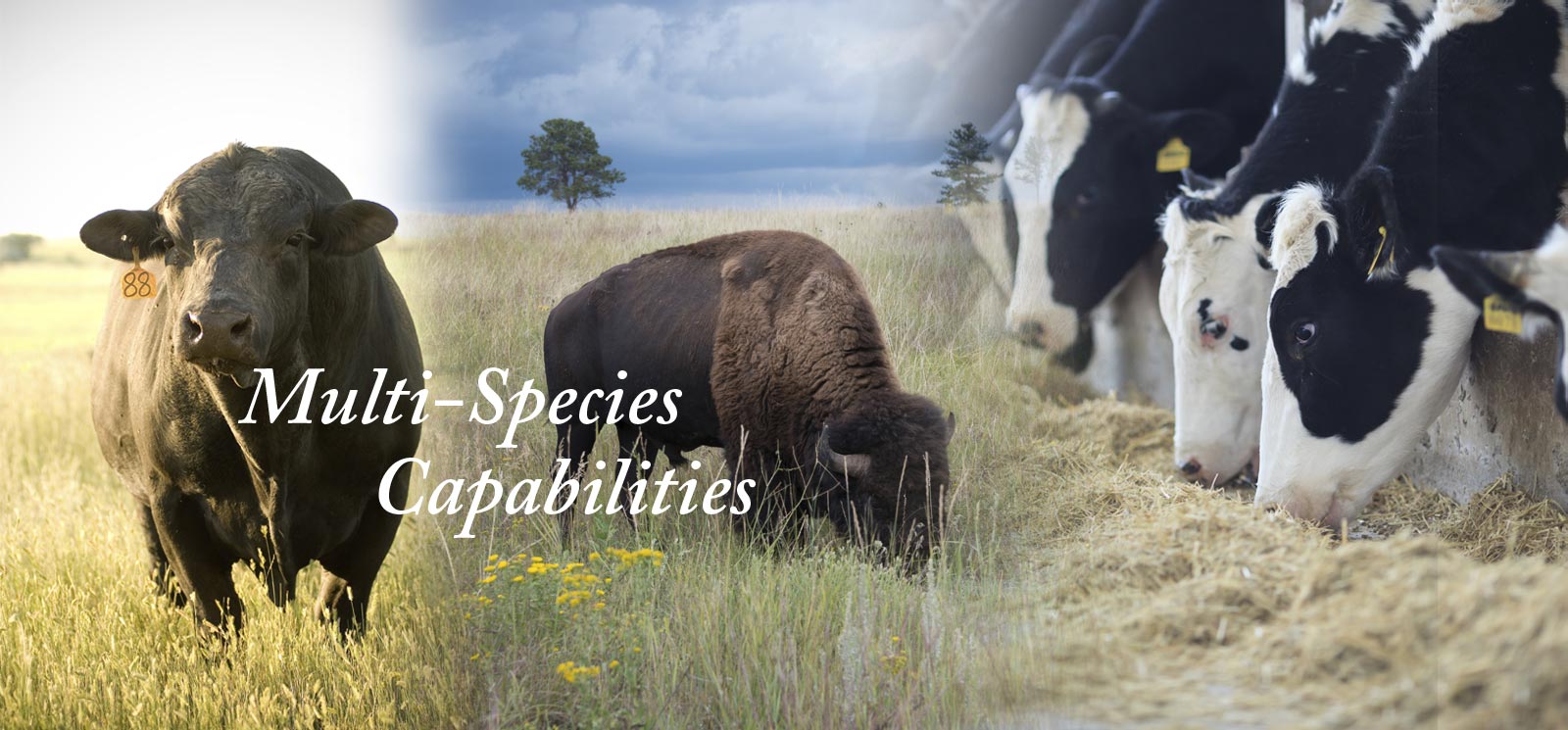 Multi-Species Capabilities